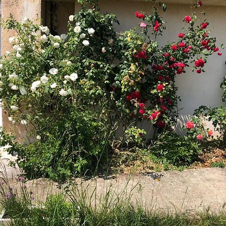 Le Jardin Suspendu Apartman Rillieux-la-Pape Kültér fotó