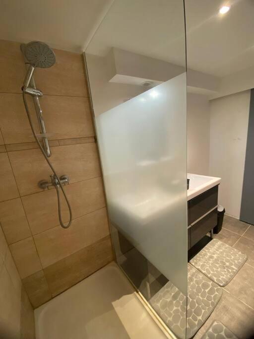 Le Jardin Suspendu Apartman Rillieux-la-Pape Kültér fotó
