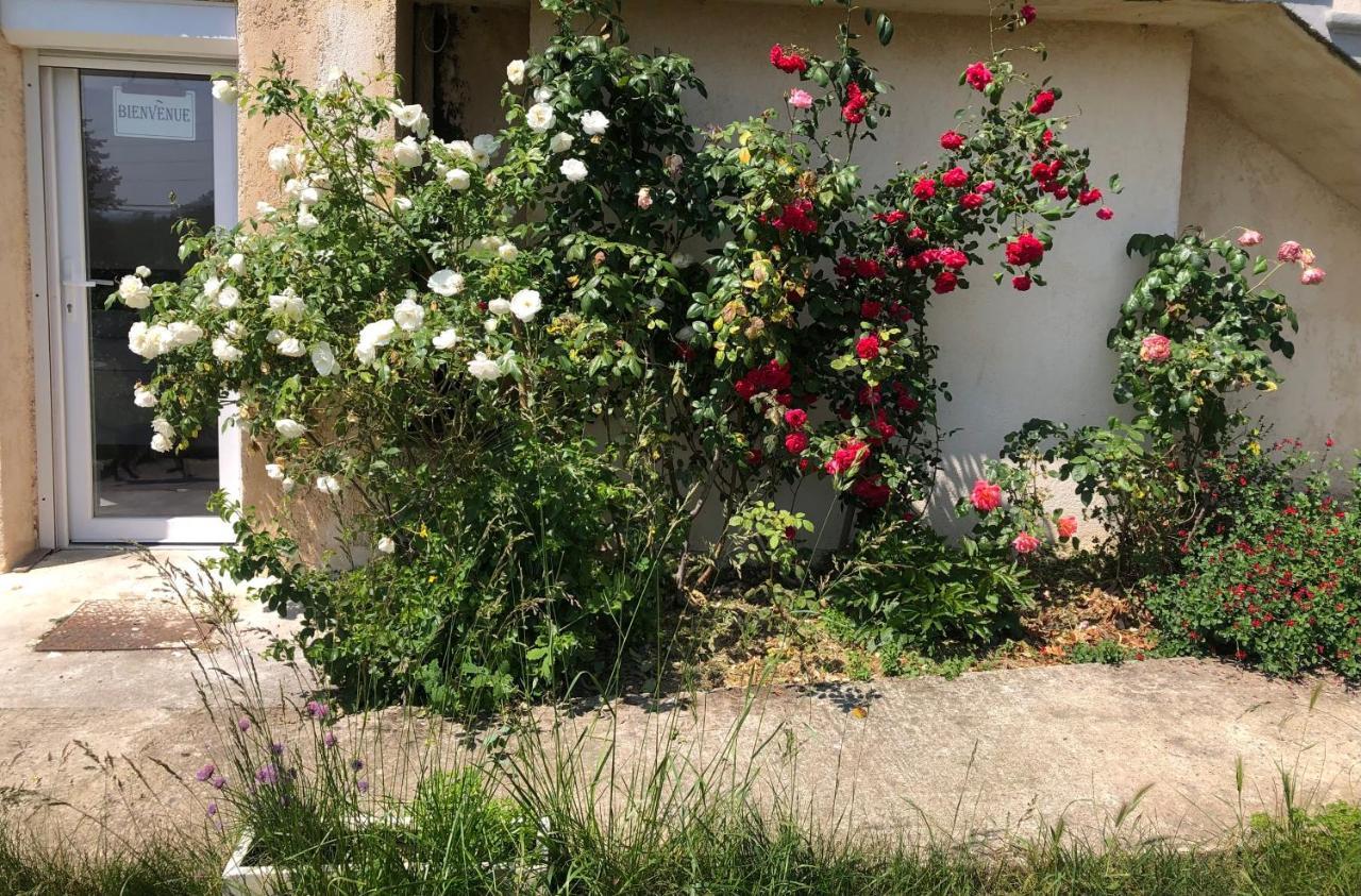 Le Jardin Suspendu Apartman Rillieux-la-Pape Kültér fotó